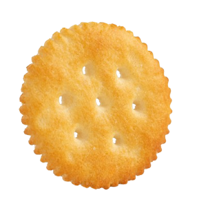 Salty Biscuits